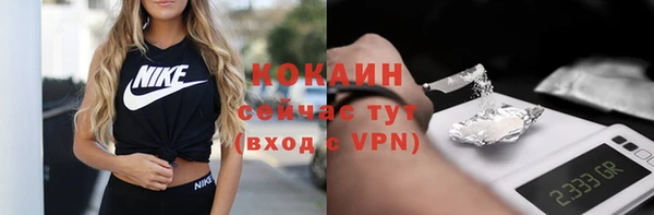 прущий лед Заречный