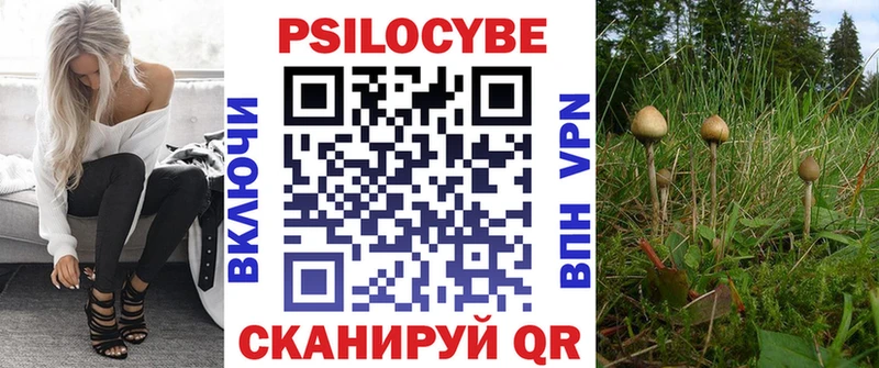 где купить наркоту  Великие Луки  Псилоцибиновые грибы прущие грибы 