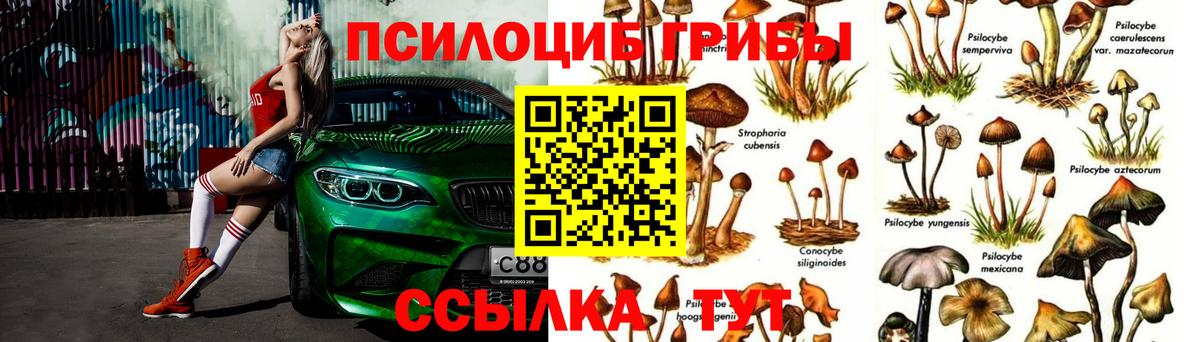 Псилоцибиновые грибы мухоморы Великие Луки