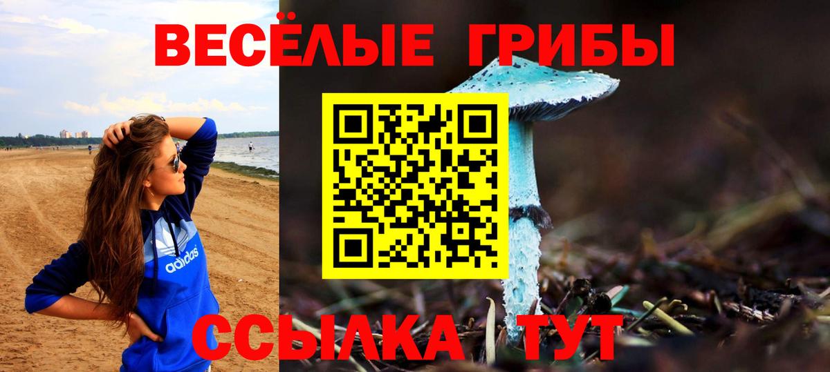 Галлюциногенные грибы прущие грибы  Галлюциногенные грибы Psilocybine cubensis  где купить наркотик  Великие Луки 