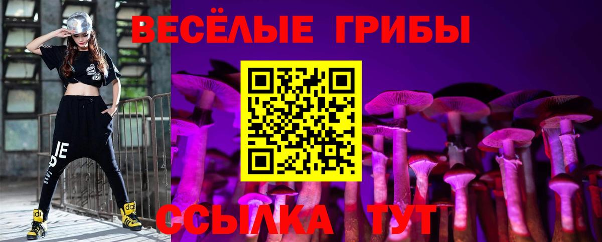 Галлюциногенные грибы мицелий Великие Луки