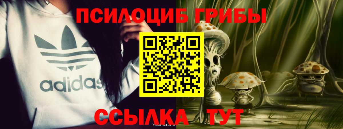Великие Луки  Псилоцибиновые грибы мицелий  Псилоцибиновые грибы прущие грибы  Вход с VPN 
