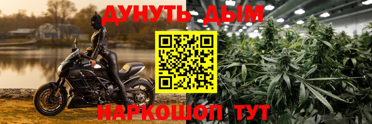 Конопля конопля  Великие Луки  Бошки Шишки семена  Бошки Шишки SATIVA & INDICA 